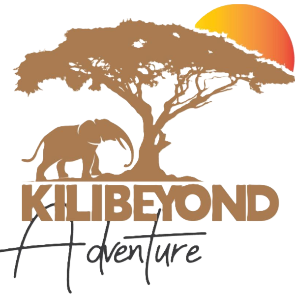 Kili Beyond Adventure