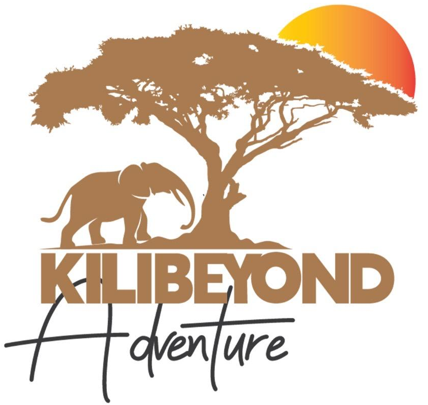 Kili Beyond Adventure